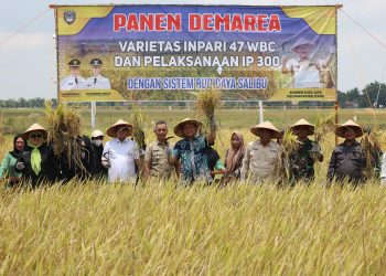 Produktivitas Padi OKU Timur Tembus Peringkat 10 Nasional