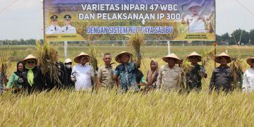 Produktivitas Padi OKU Timur Tembus Peringkat 10 Nasional