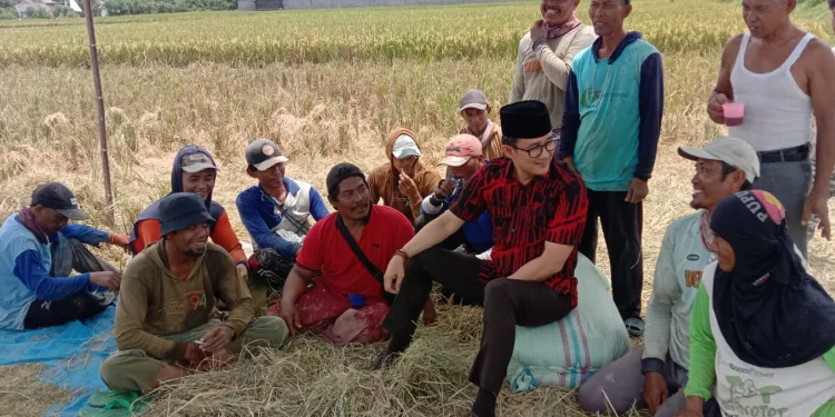 Fery Antoni Dengar Langsung Keluhan Petani OKU Timur.