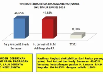Jelang Pemilihan, Survei Fery-Herly Unggul Dari Petahana.