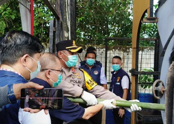 Seberat 35 Kilogram Ganja Dimusnahkan Polres OKU Timur.