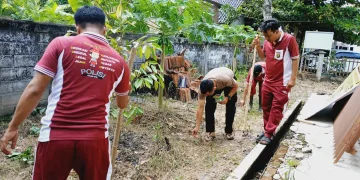 Dukung Program Pangan Nasional, Polsek Bp Peliung Tanam Bibit Jagung