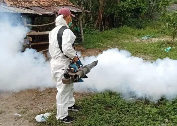 Ada Satu Kasus DBD, Puskesmas Rawa Bening Lakukan Fogging