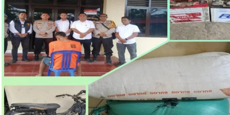 Belum Sempat Menjual, Pencuri Beras 100 Kilogram Ditangkap Polisi di OKU Timur